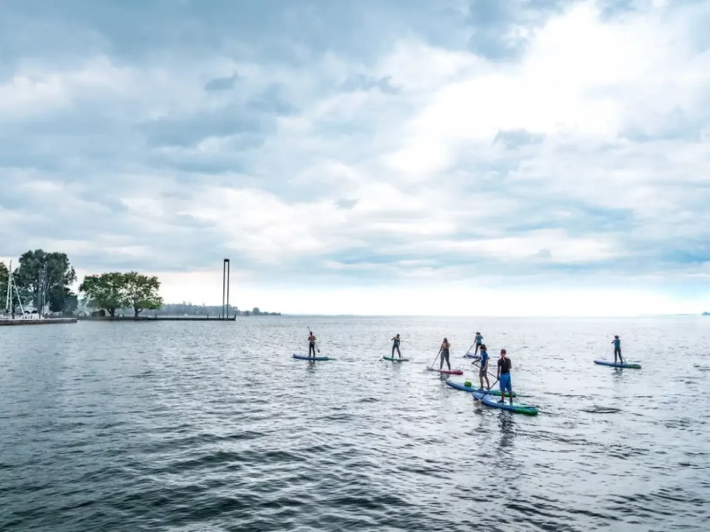 Stand up paddling Gruppe im Bodensee in Bregenz