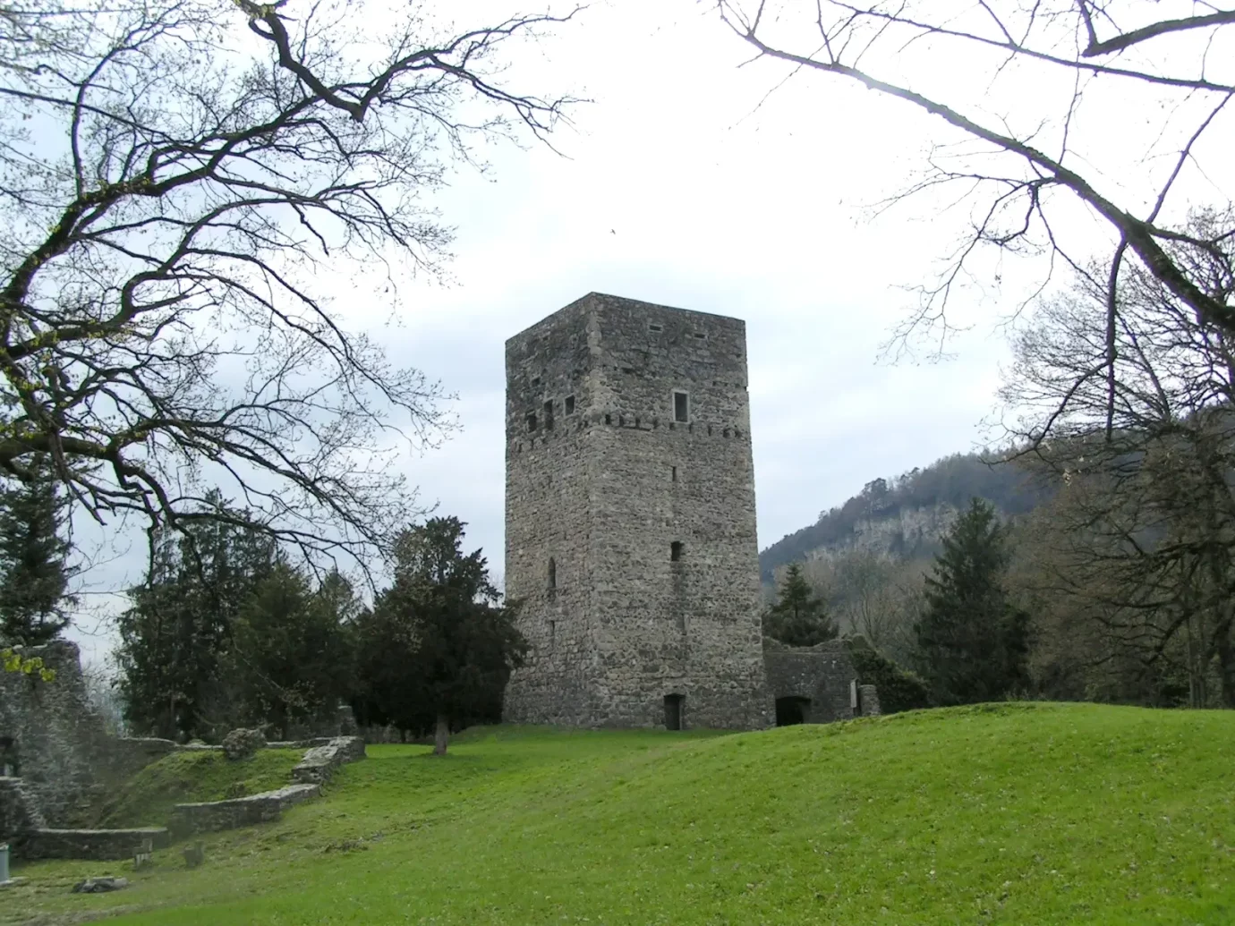Tostner Burg in Feldkirch